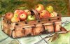 Apfelkorb-gemalt.jpg