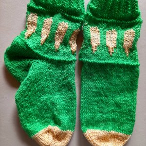 Möhren Socken 09.2023[1].jpg