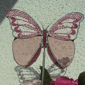 Lila Schmetterling